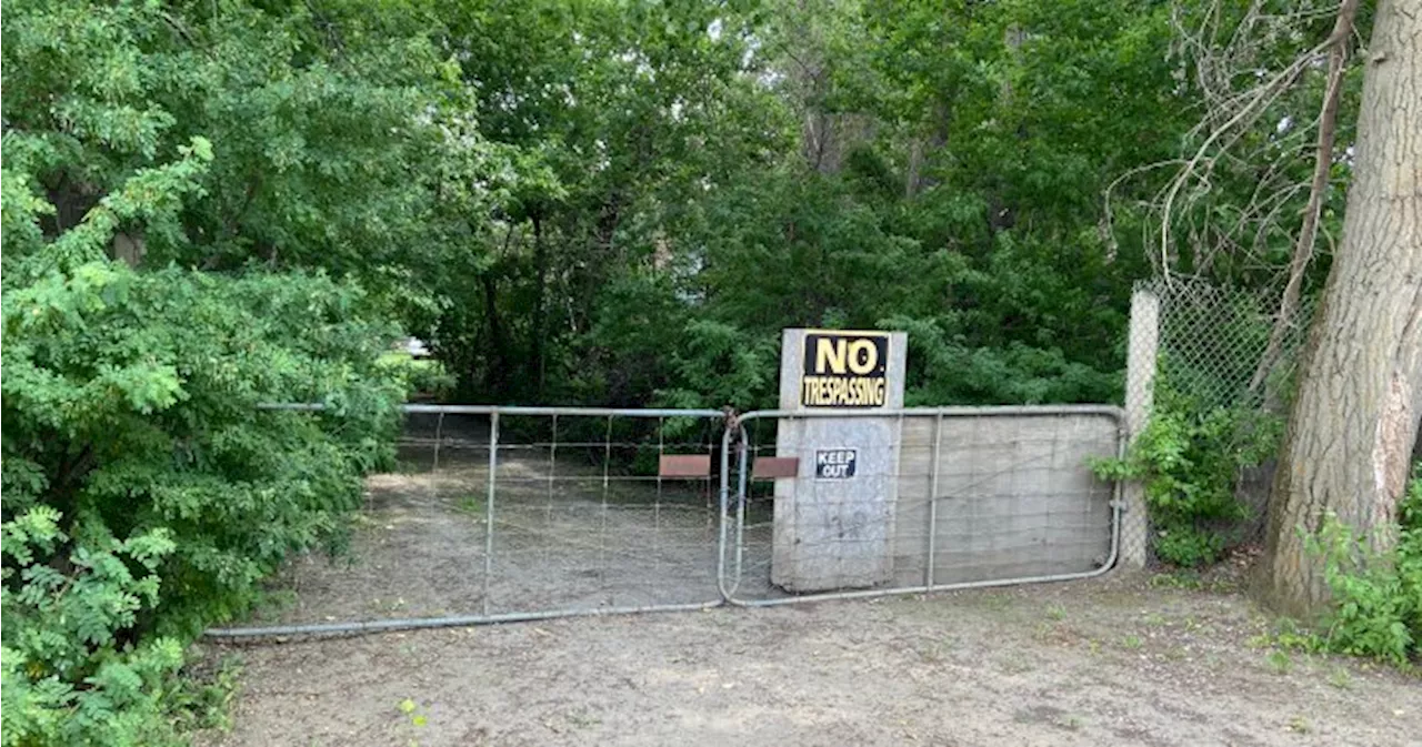 Bail denied for 84-year-old man charged with shooting teen on rural Alberta property