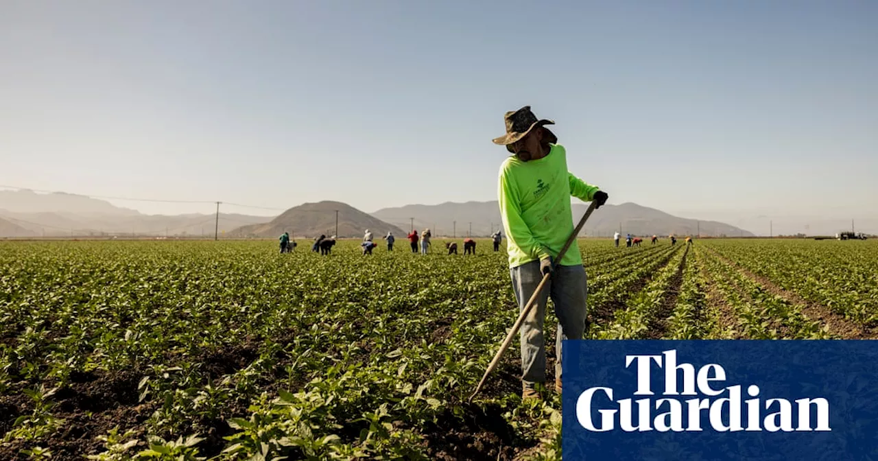 US swelters on Independence Day with over 150m people under heat alerts