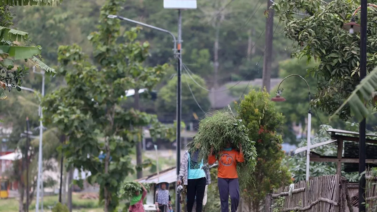 Pengadaan Penerangan Jalan Umum Tenaga Surya Diduga Dikorupsi, Mabes Polri Pun Turun Tangan