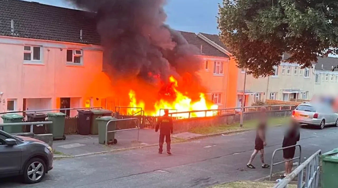 Plymouth mother describes terror of house fire as two dogs die from blaze