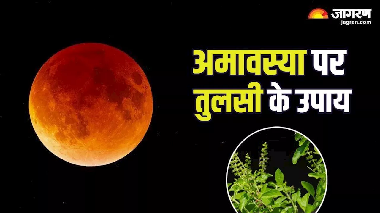 Ashadha Amavasya पर तुलसी में चढ़ाएं ये चीजें, धन-धान्य से भर जाएगा घर