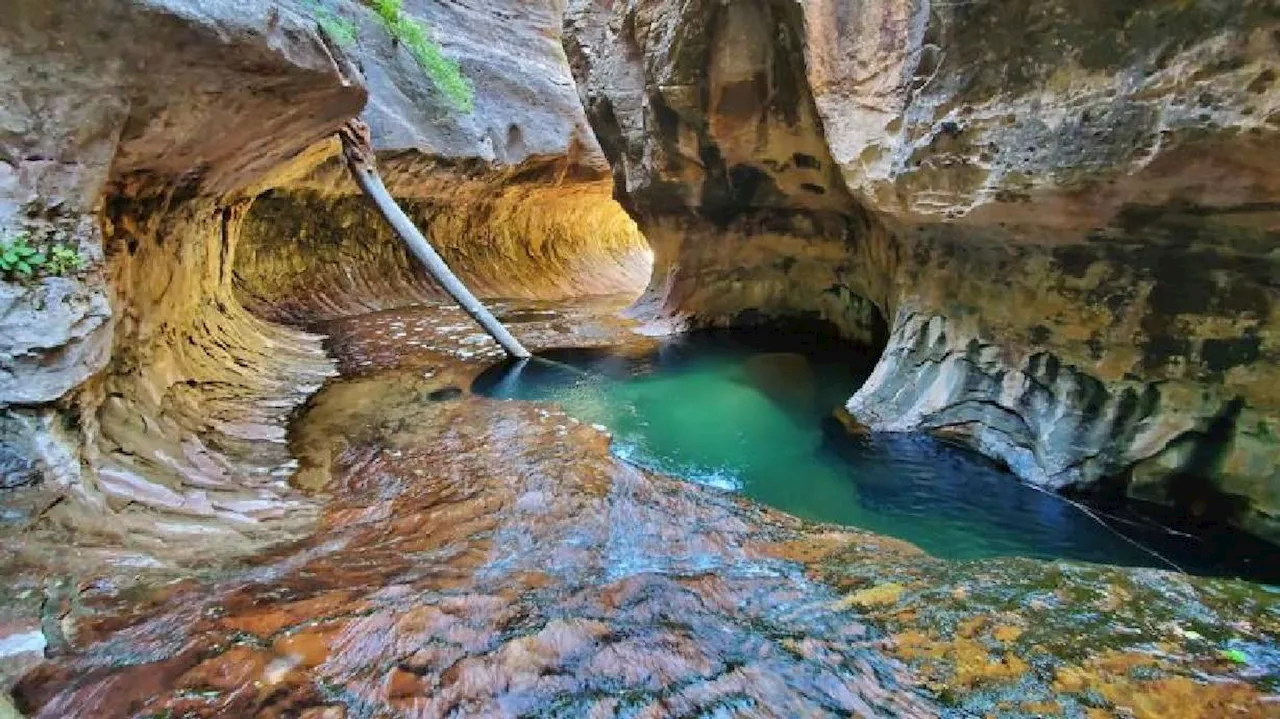 Rescue crews have an urgent message after dual emergency calls at Zion National Park