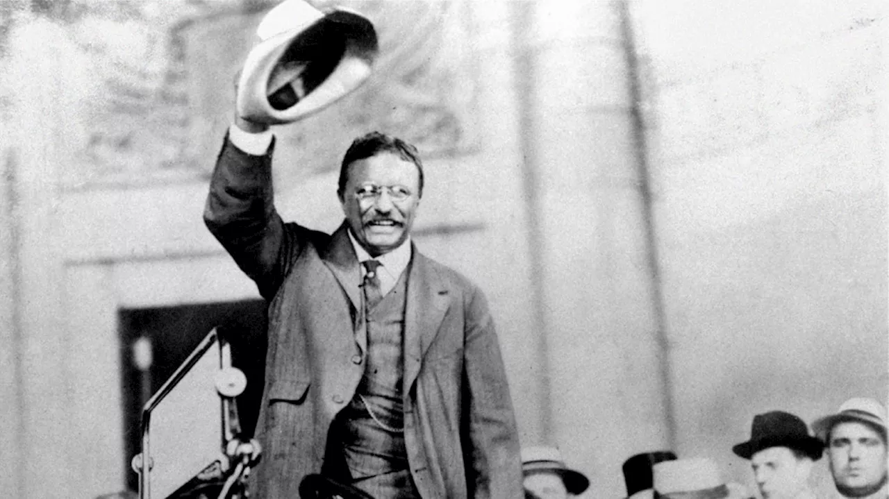 New book commemorates 'the women who created' Theodore Roosevelt