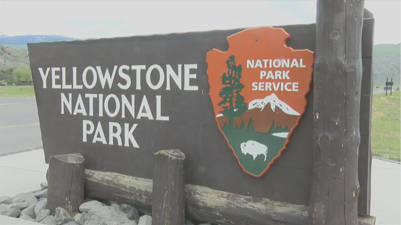 Suspect dead, ranger injured in Yellowstone National Park shooting