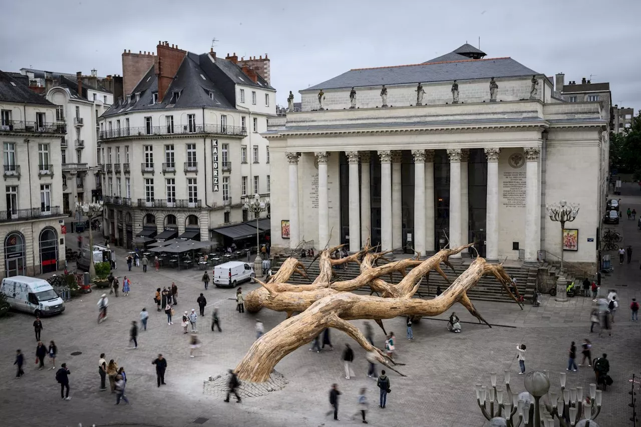 Pour le Voyage à Nantes, des arbres en majesté au coeur de la ville