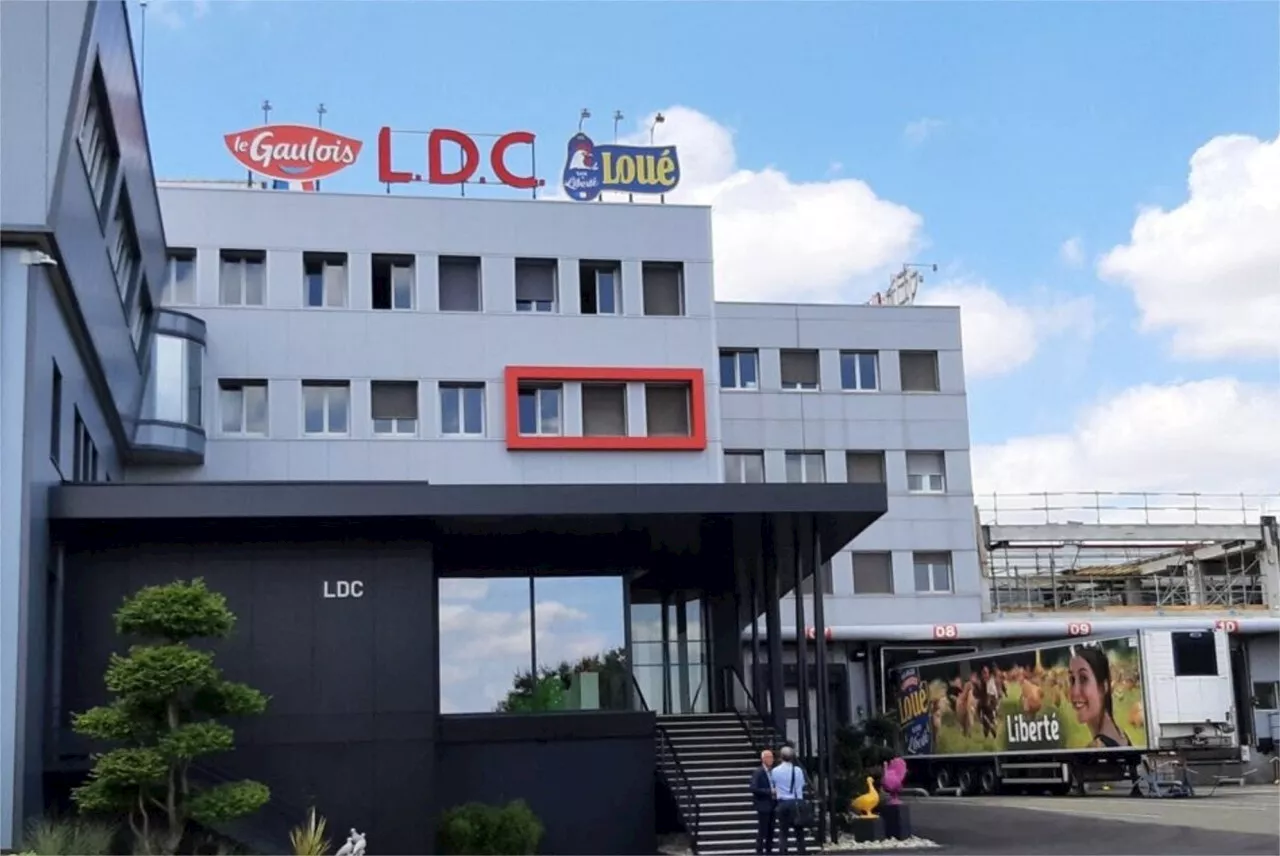 Sarthe. LDC : un chiffre d’affaires stable et des prix qui baissent