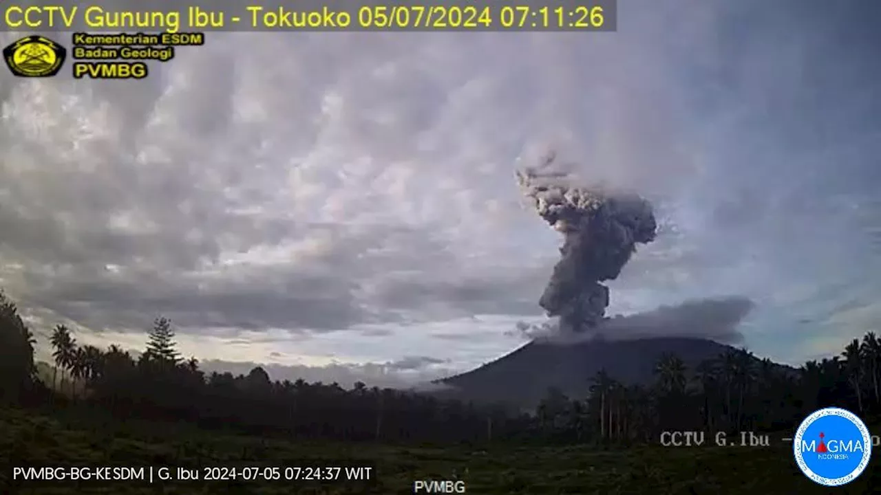 Gunung Ibu Masih Terus Erupsi hingga Jumat Pagi 5 Juli 2024, Kolom Abu Capai 3.000 Meter