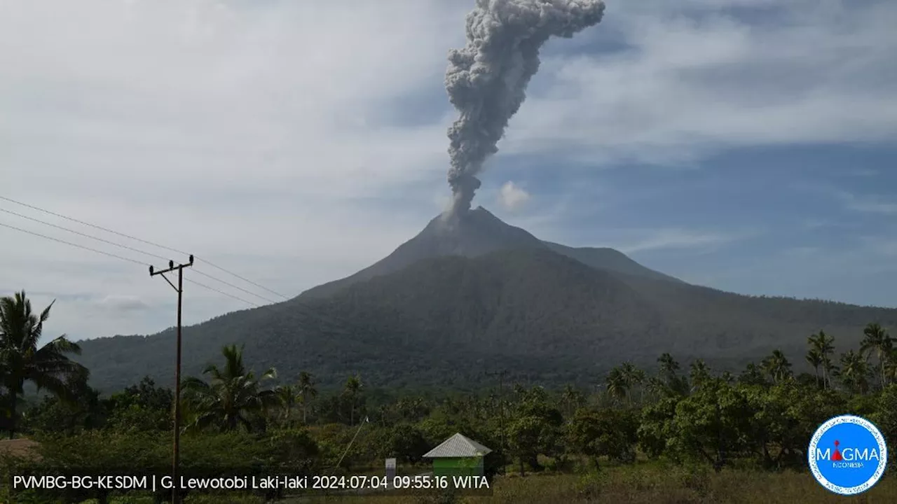 Gunung Lewotobi Laki-Laki Meletus Lagi, Kolom Abu Teramati 900 Meter