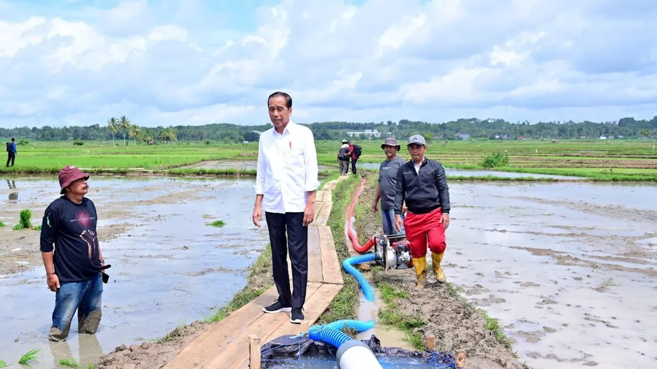 Hormati Putusan DKPP Pecat Ketua KPU RI, Jokowi Pastikan Pilkada Serentak Berjalan Baik