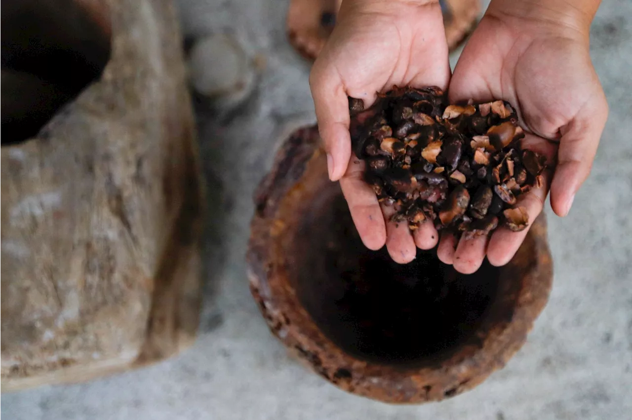 Have you ever had chocolate made from scratch?