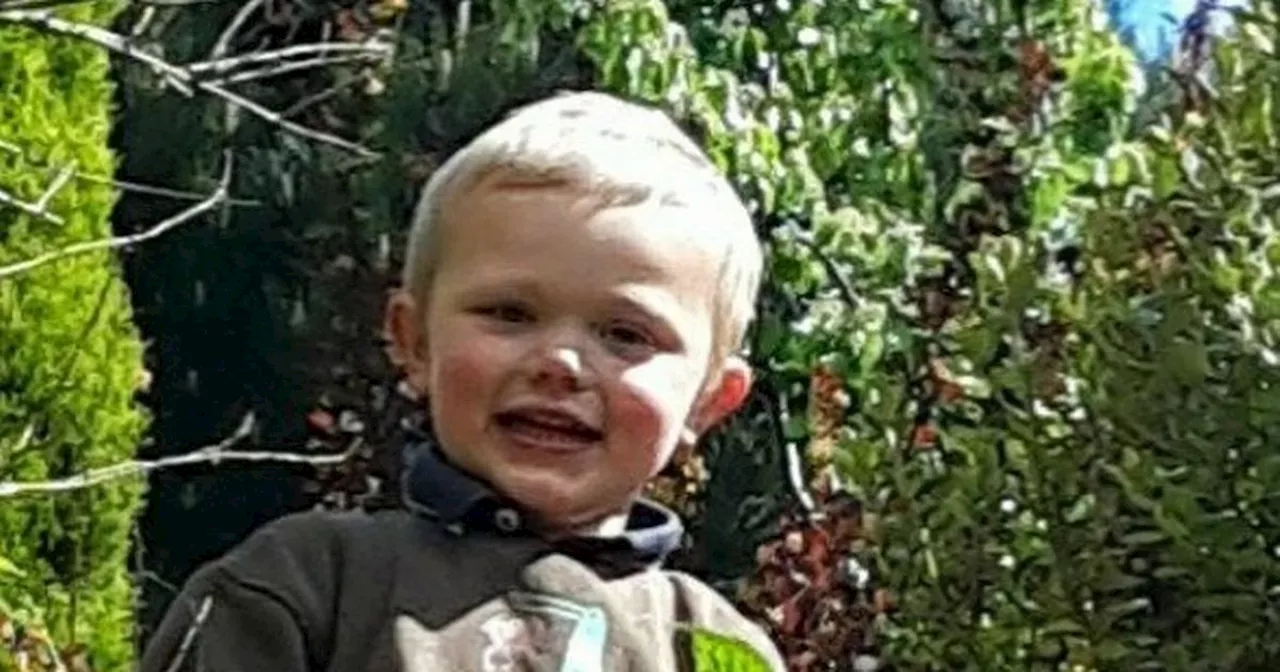 Mum and dad charged after son, 3, dies in 'dangerous dog' attack