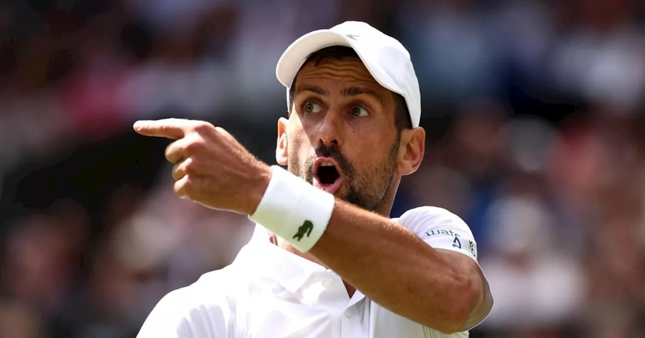 Novak Djokovic 'unhappy' and shushes Wimbledon crowd v British player