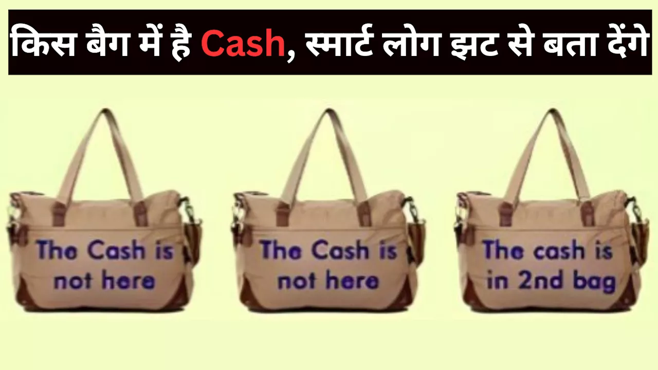 Brain Teaser: नोटों के तीन बैग में से केवल एक में है कैश, तेज दिमाग वाले 5 सेकेंड में बता देंगे सही जवाब