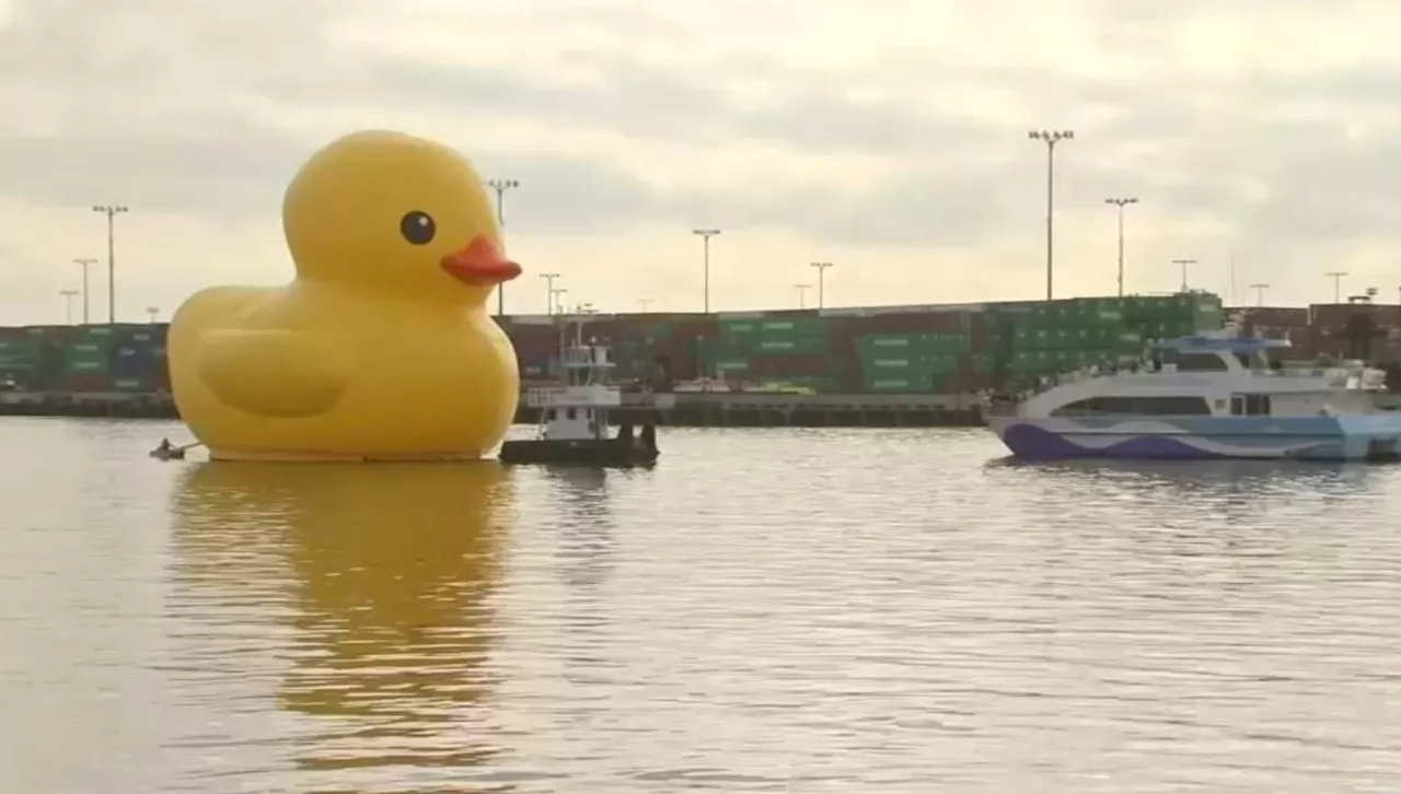 ‘World's largest rubber duck' lands in Lake Elsinore for Fourth of July