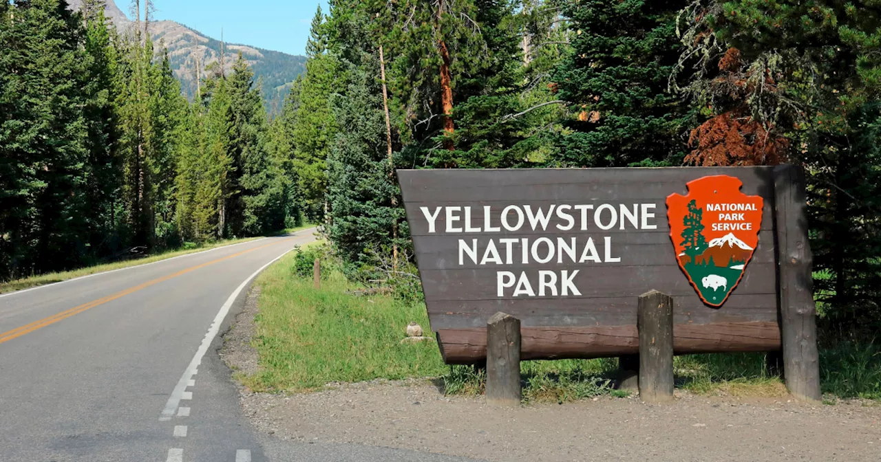 Shooting at Yellowstone National Park on July Fourth injures ranger, kills suspect