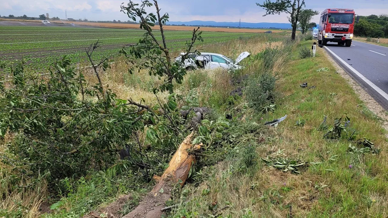 Pkw krachte in Lassee gegen Baum: Mehrere Verletzte