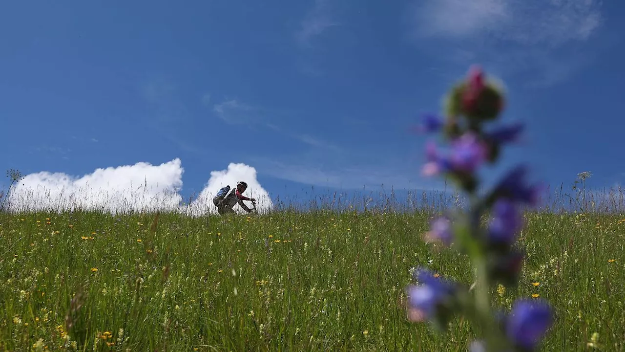 Bayern: Viel Sonne zum Wochenende - aber auch Regen und Gewitter