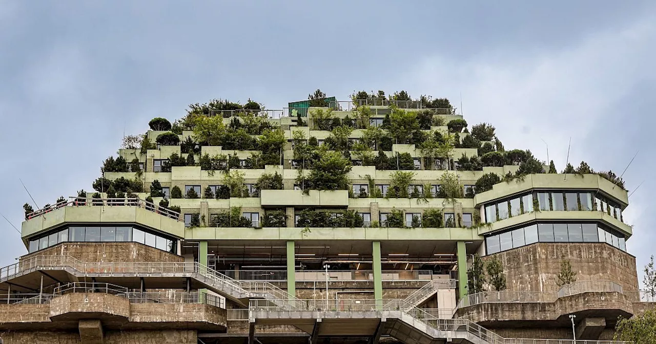 Grüner Bunker mit Aussicht ist Hamburgs neues Wahrzeichen