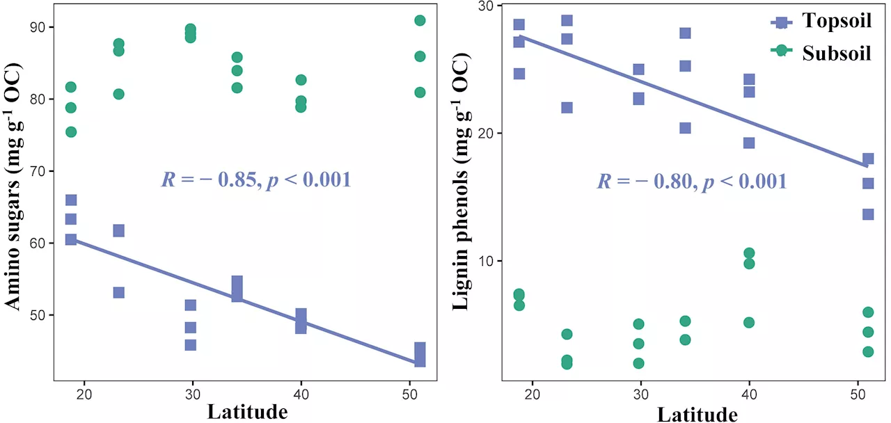 Study reveals latitude patterns, controlling factors of microbial residues and lignin phenol accumulation in forest soil