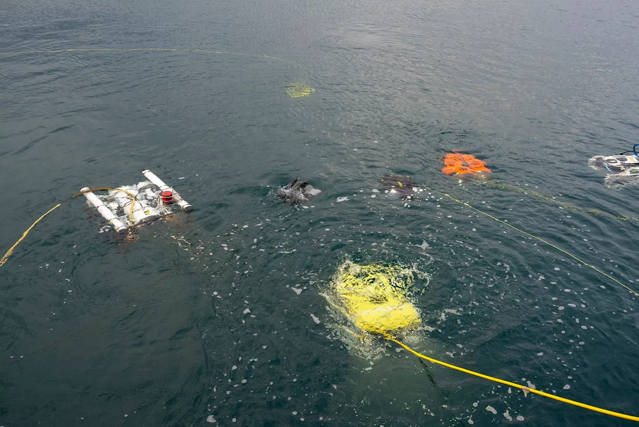 開催迫る！水中ドローン総合イベント「OceanBiz2024 in SHIZUOKA」出展社・デモンストレーションタイムテーブル公開！