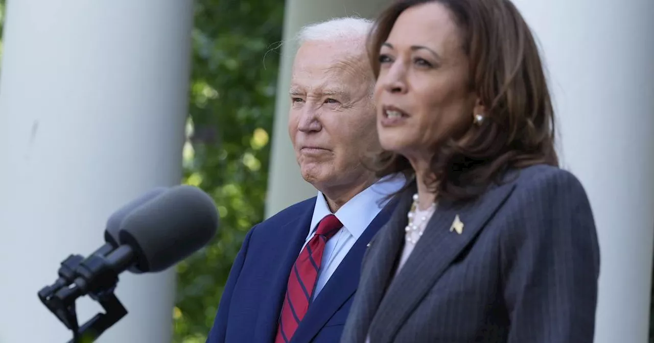 US-Wahlen: So steht es um Kamala Harris als Biden-Nachfolge​