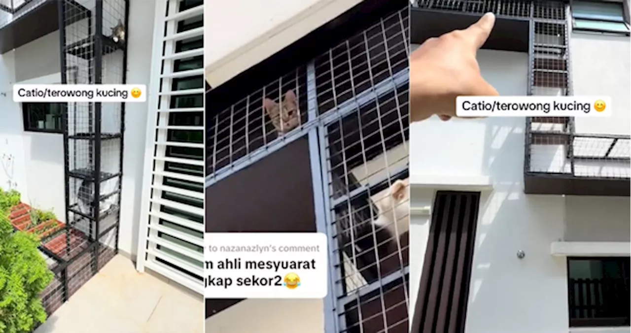 Man Makes 'Tunnel' To The Outdoors So His Cats Can Get Fresh Air Without Going Missing