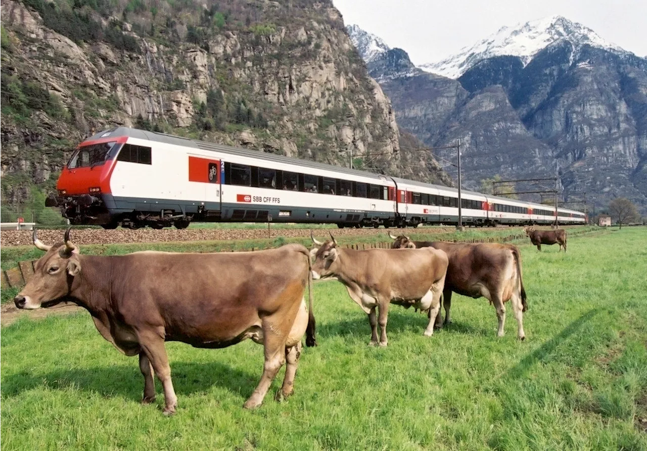 «Ein Affront gegen die Landwirtschaft»