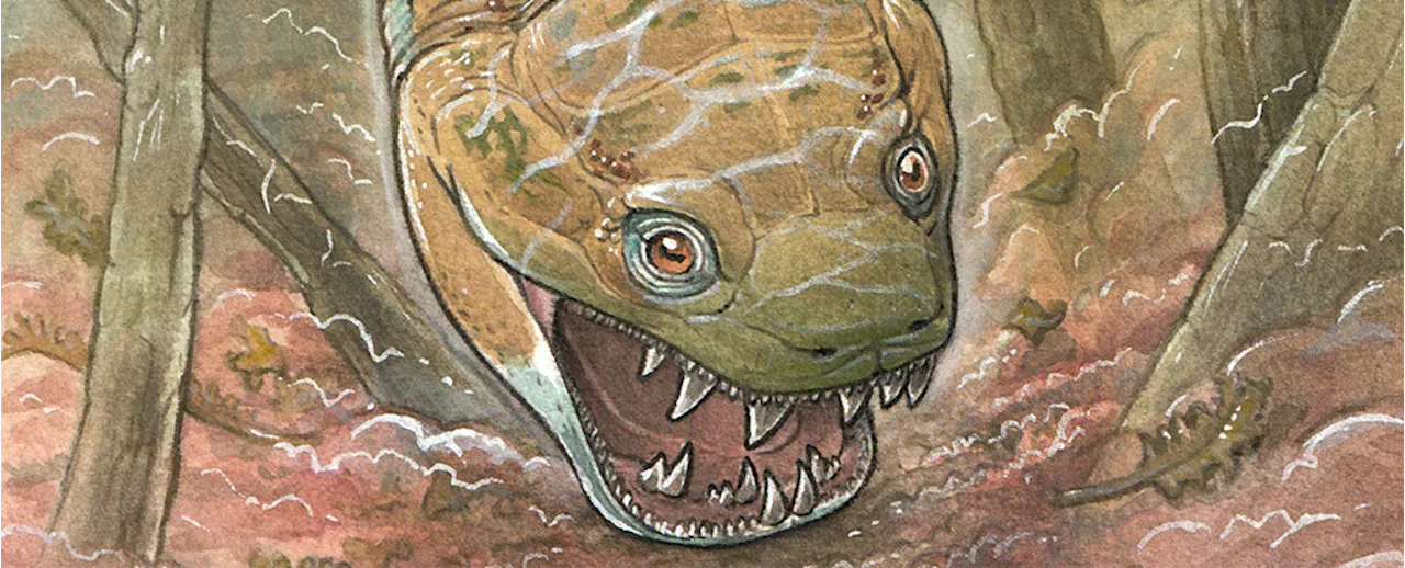 This Giant Swamp Creature With a Toilet Seat-Shaped Head Terrorized The Permian