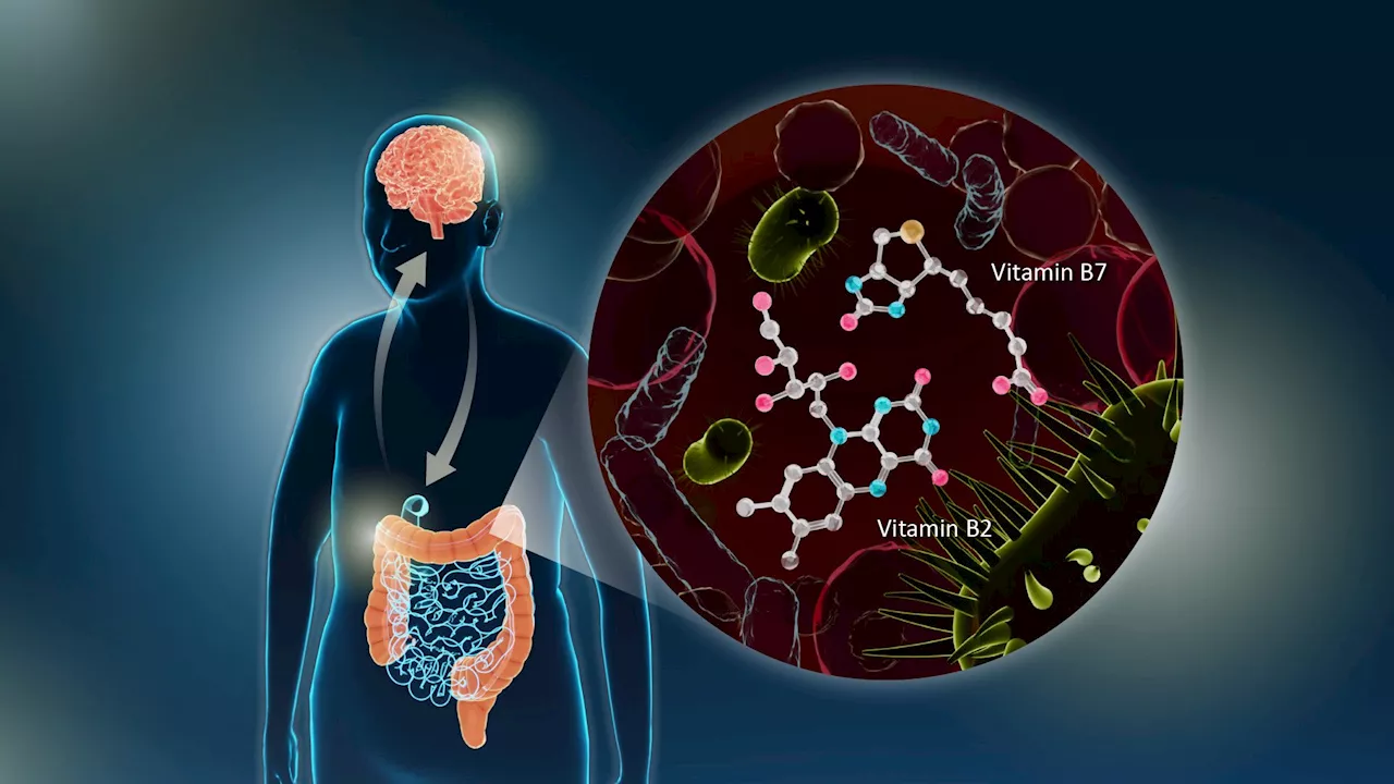 New Study Links Gut Vitamin B Deficiency to Parkinson’s Disease