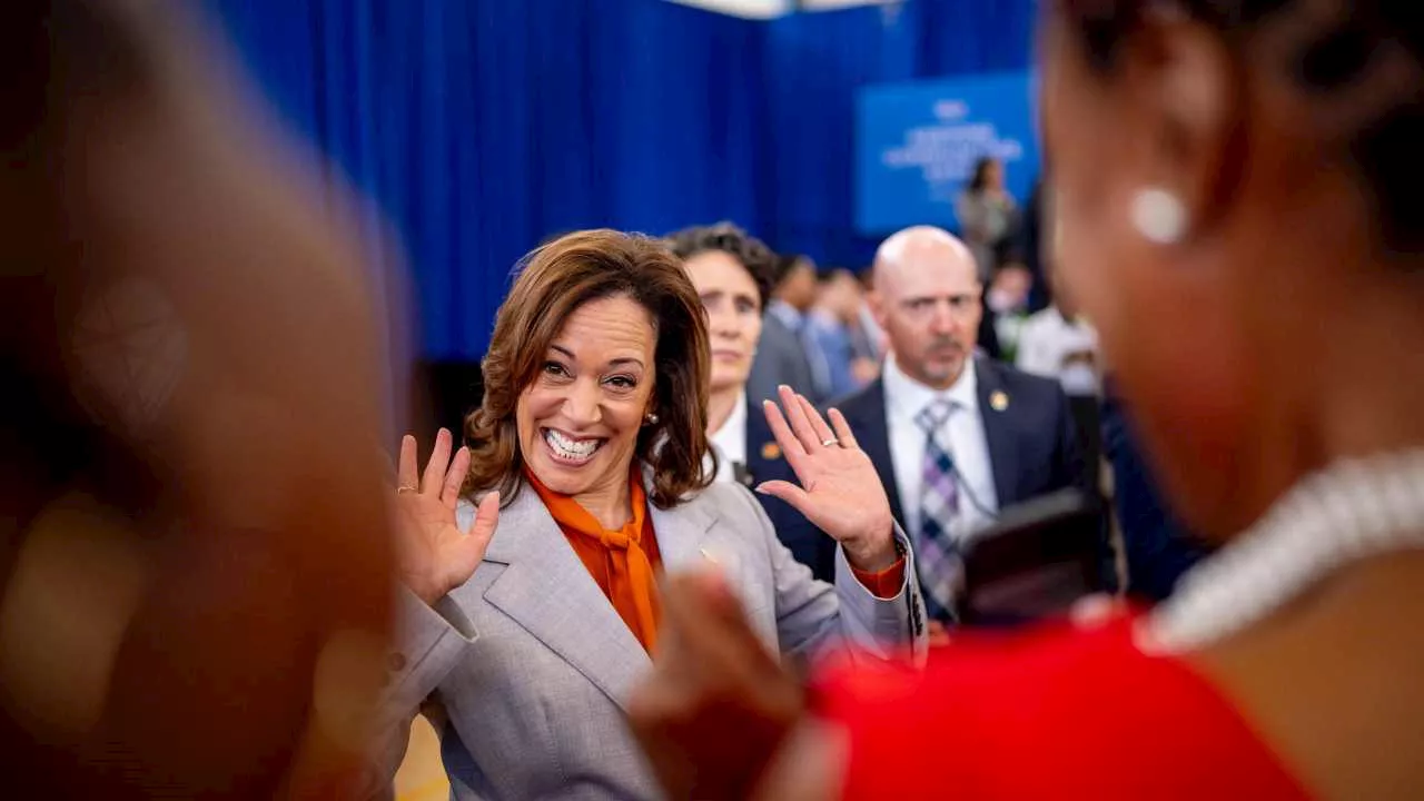 Democrats draft blueprints for Kamala Harris