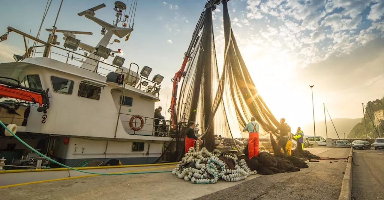 Consumo di pesce in Europa: a luglio «finisce» quello pescato nel Mediterraneo