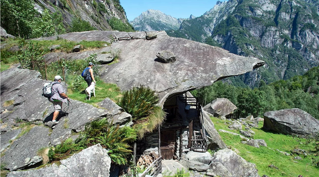 Höhlenarchitektur: Leben unter der Felsplatte – spektakuläres Appartement in den Alpen