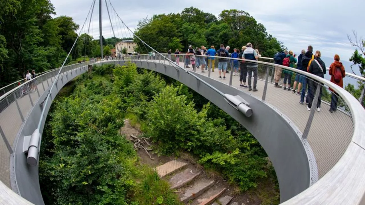 Nationalpark-Jubiläum: Königsstuhl feiert 20-jähriges Jubiläum