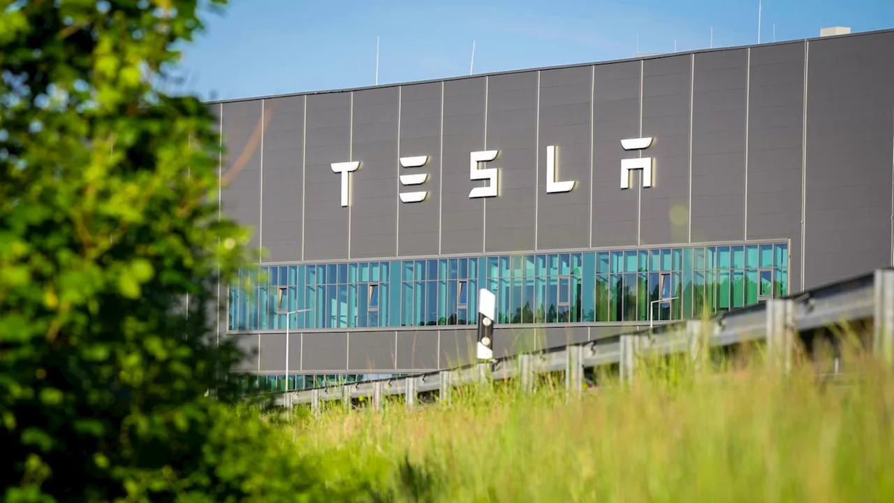 Tesla: Brandenburg genehmigt Erweiterung des Werks in Grünheide