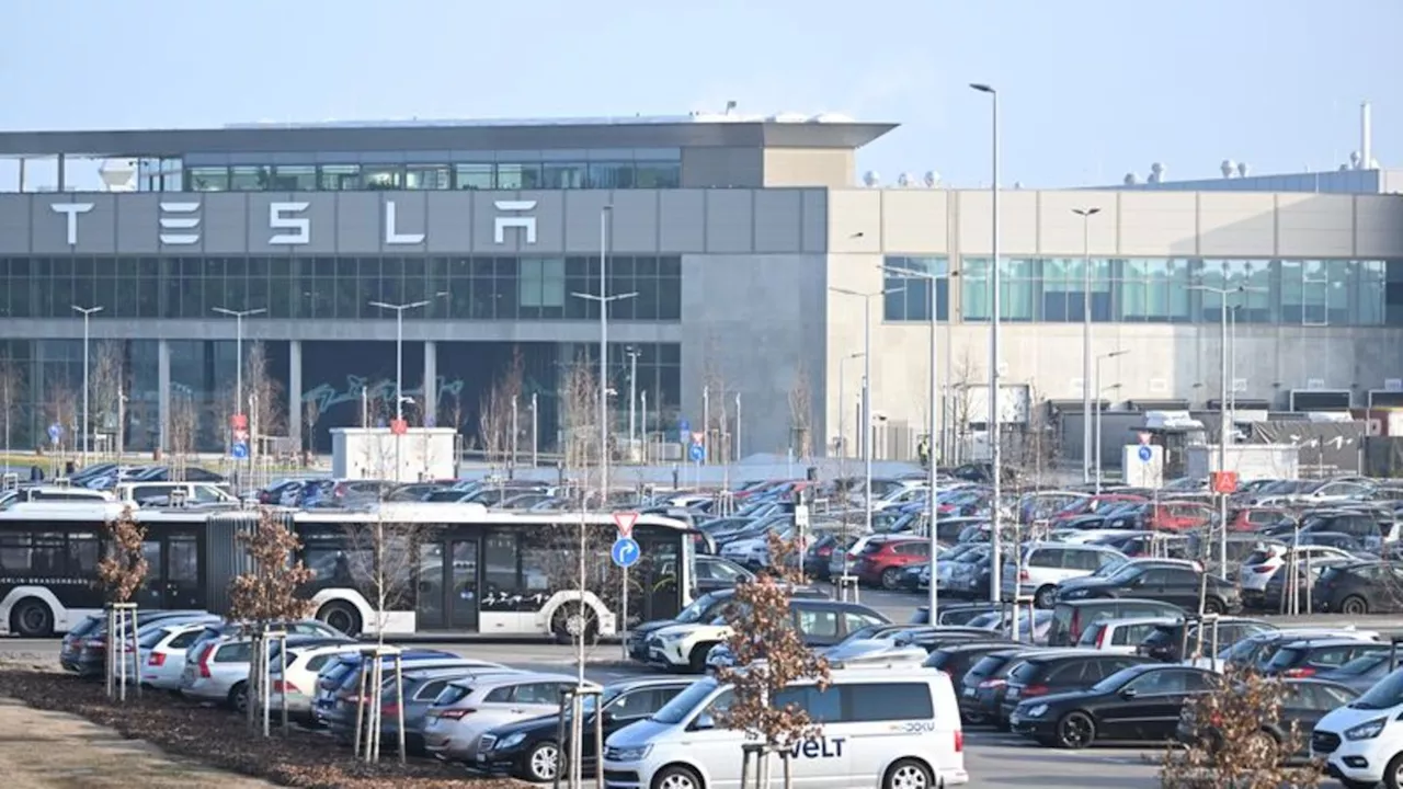 Tesla: Tesla darf Fabrik in Grünheide ausbauen