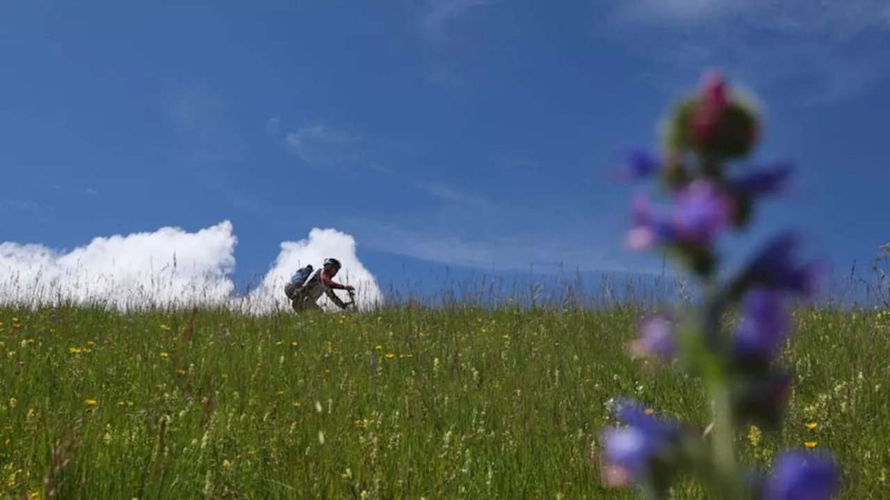 Wettervorhersage: Viel Sonne zum Wochenende - aber auch Regen und Gewitter