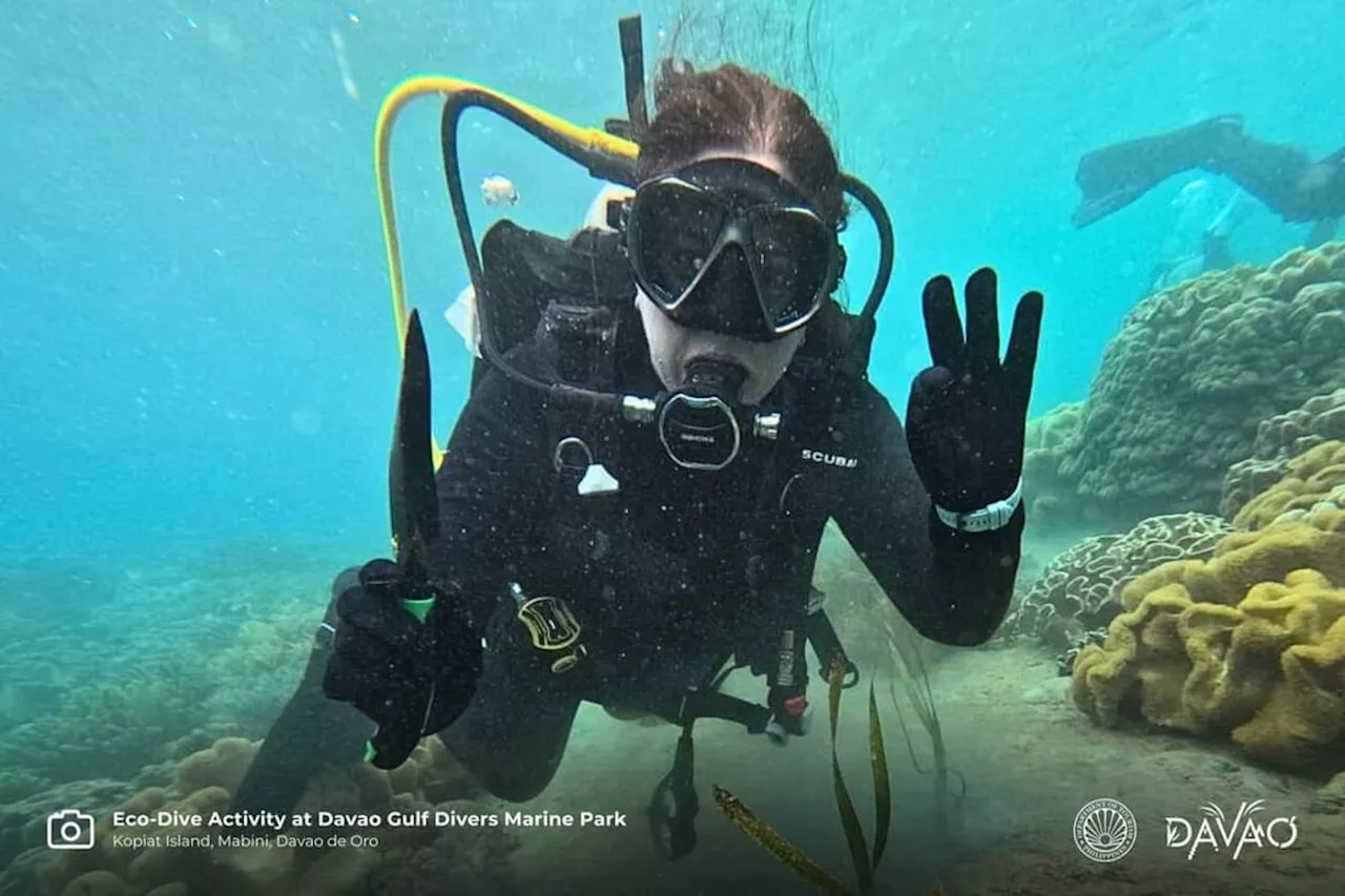 DOT-Davao unveils new Mabini dive site