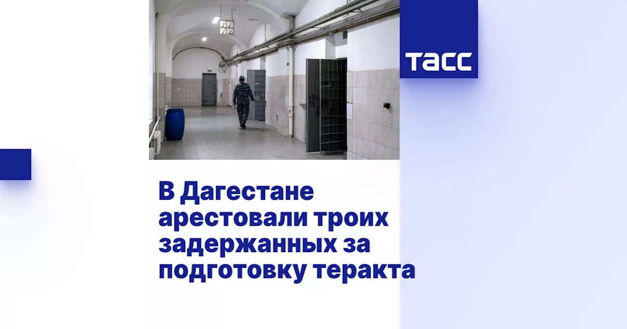 В Дагестане арестовали троих задержанных за подготовку теракта