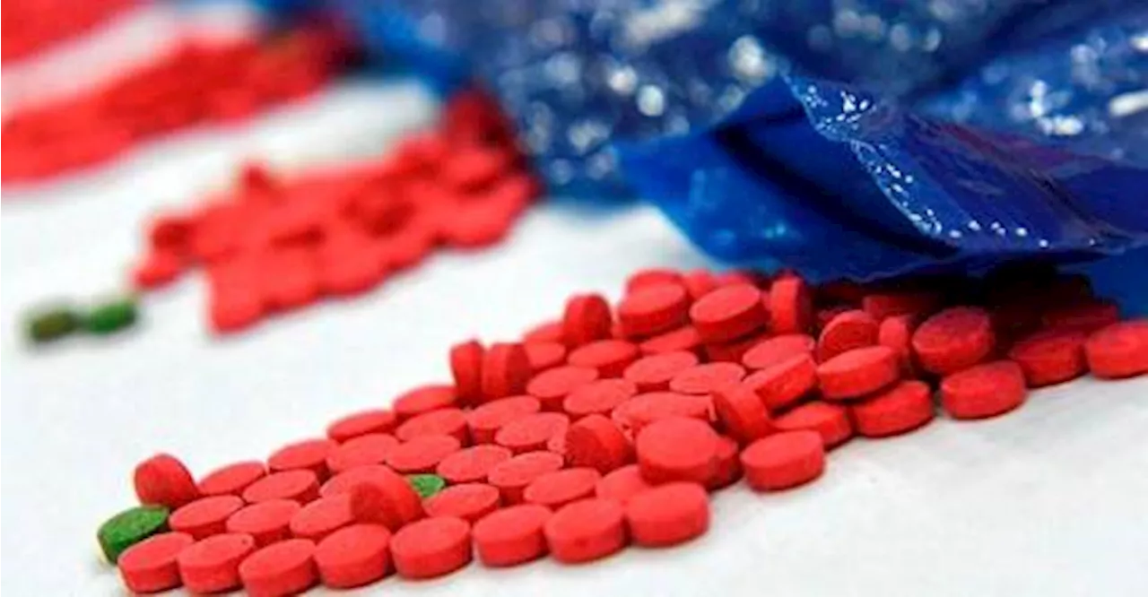 Postpone amending Drug Dependants Act 1983: Experts