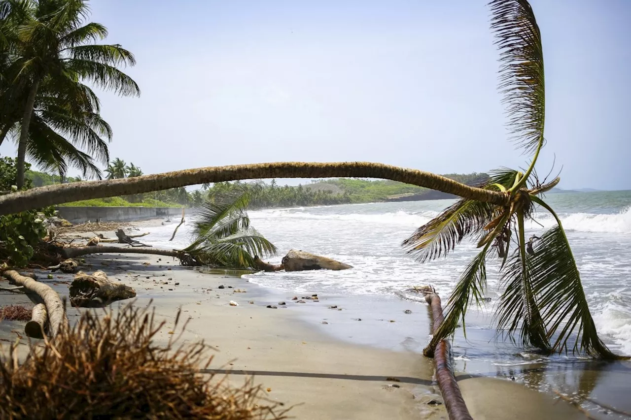 Canadians in Grenada and Montreal rally to help after hurricane Beryl devastation