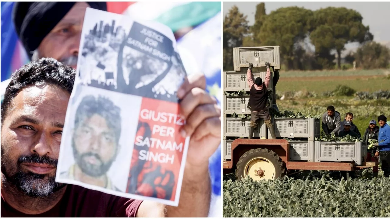 Controlli a tappeto sulle aziende agricole di tutta Italia: più del 60 per cento sono irregolari