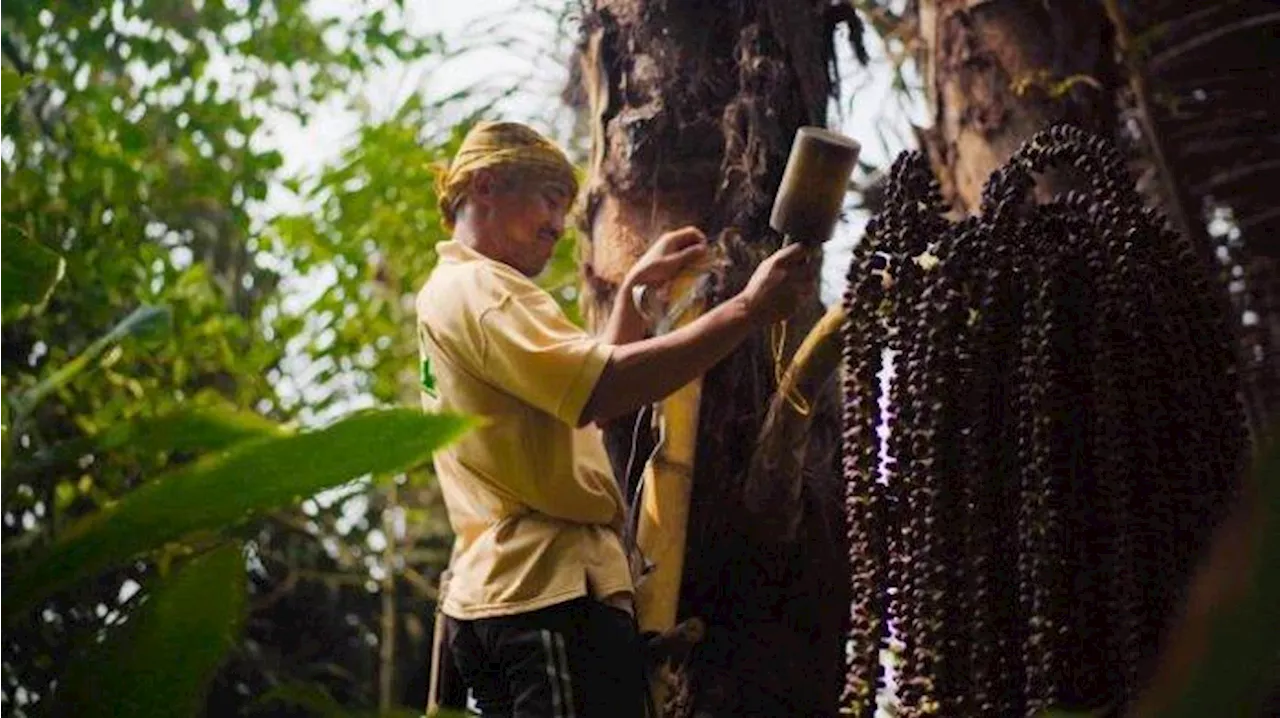 Didukung Riset Pasar, Gula Aren Produksi Petani Sukabumi Tembus Pasar Internasional