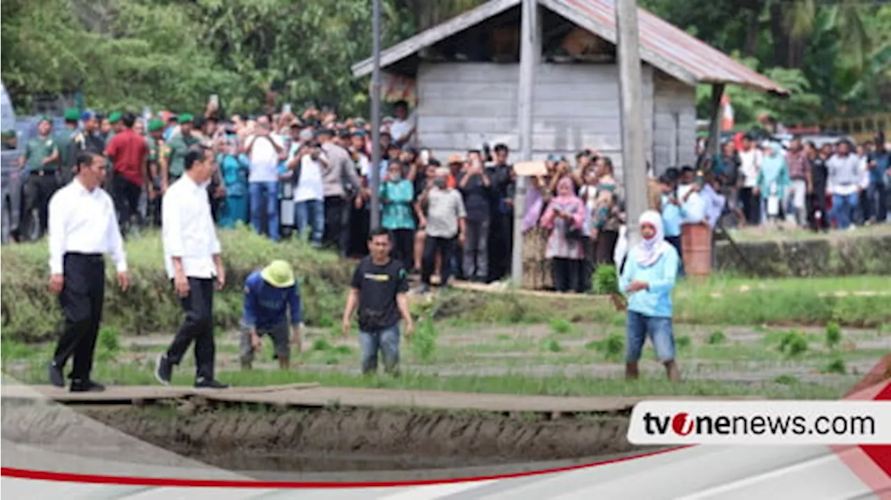 Amran Salurkan 300 Pompa, Petani Sulsel Apresiasi dan Harap Panen Meningkat