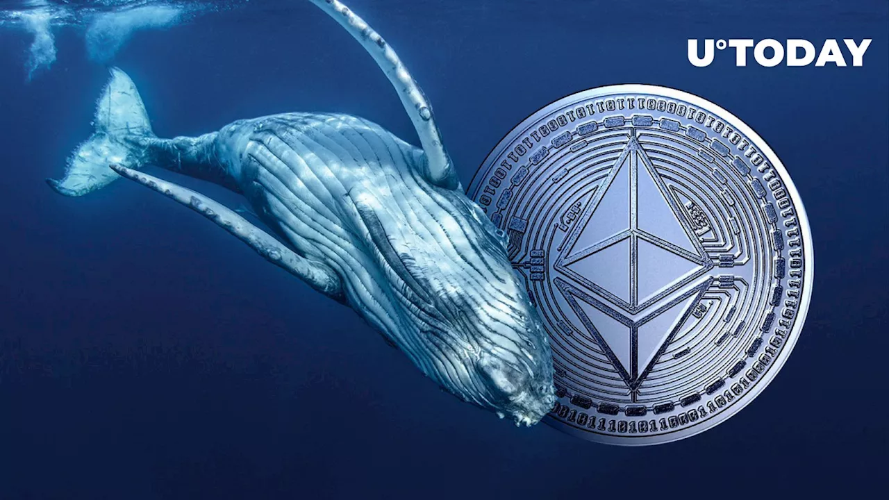 Large Ethereum Whale on Verge of Liquidation as ETH Bloodbath Deepens