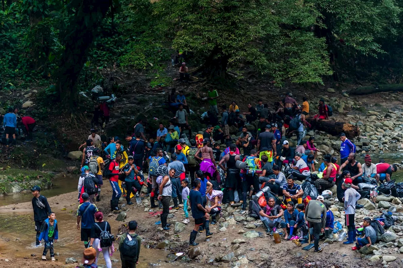 Panamá cerró tres pasos no autorizados en selva del Darién: ¿cómo funcionará la medida?