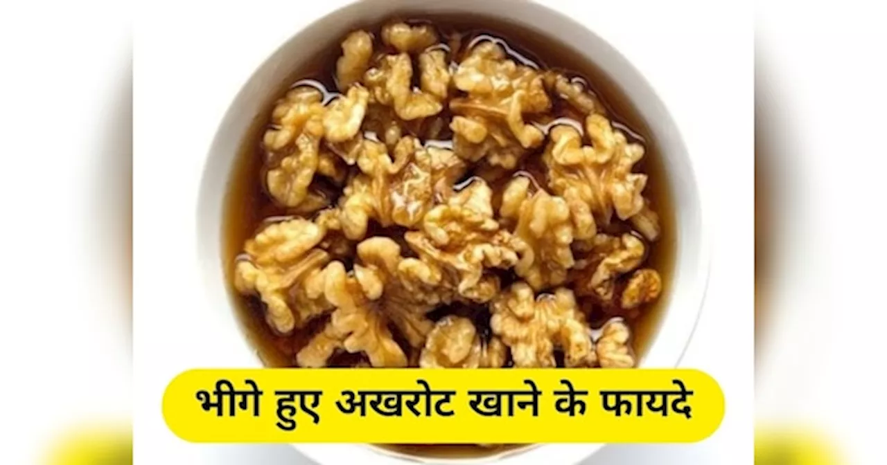 Soaked Walnut Benefits: मानसून में रोज सुबह खाएं एक मुट्ठी भीगे हुए अखरोट, मिलेंगे 6 गजब के फायदे