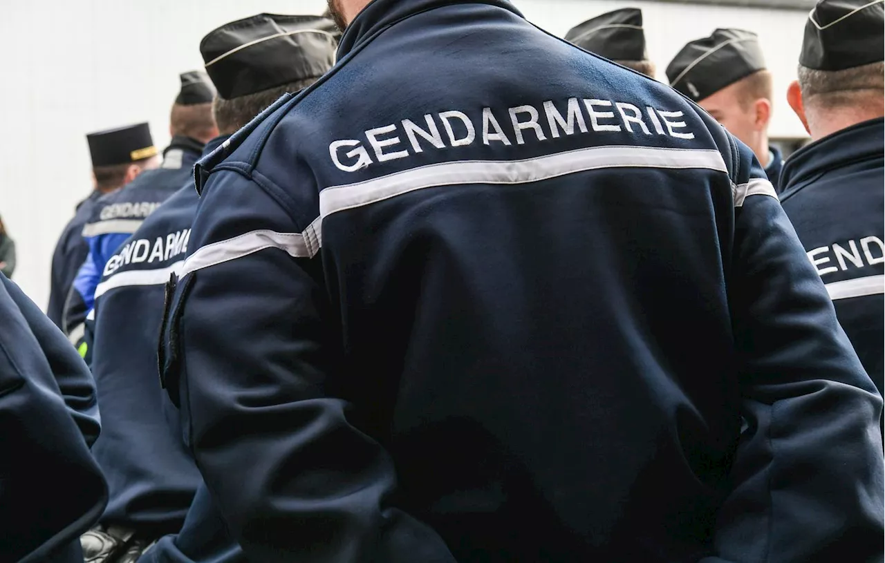 Alpes-Maritimes : Trois suspects d’une bande criminelle ukrainienne écroués