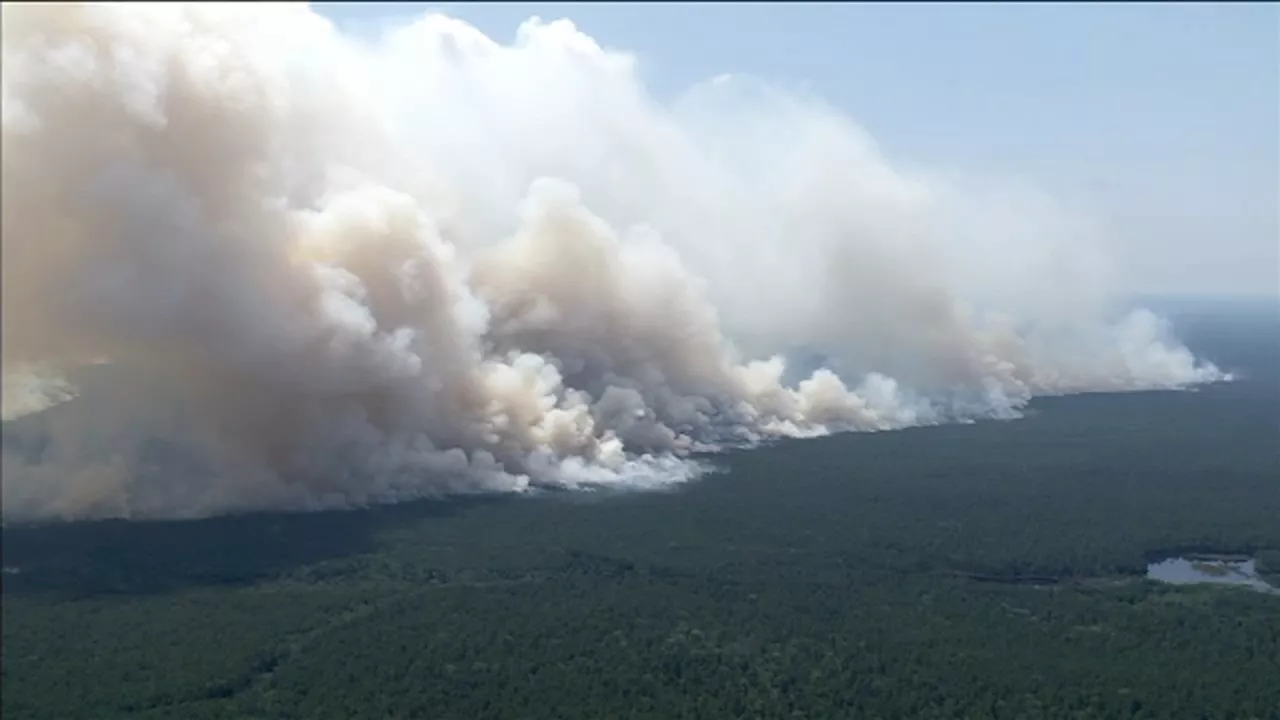 Wildfire in New Jersey's Wharton State Forest grows to 450 acres; 0% contained