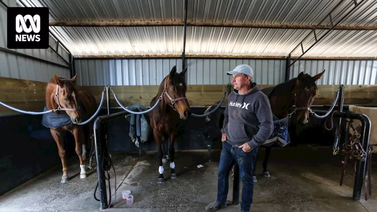 Champion horse trainer Darren Weir receives two-year ban for use of jigger on horses in 2018