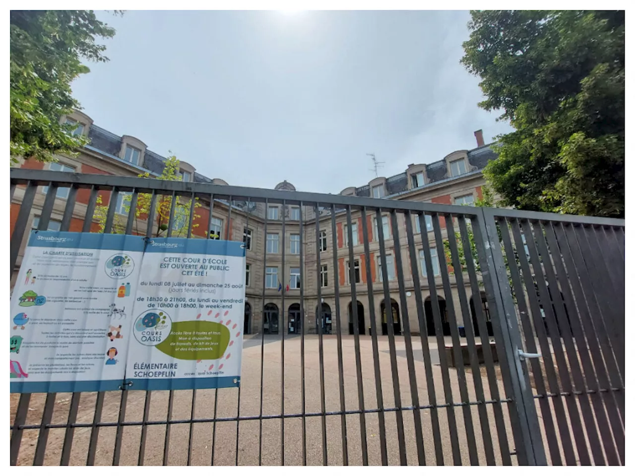 Cet été, vous pourrez vous rafraîchir dans ces cours d'école végétalisées à Strasbourg